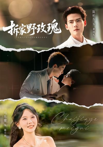 职场奇妙物语